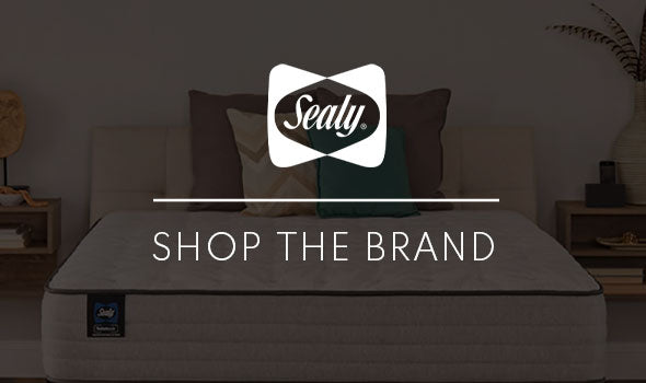 sealy brand