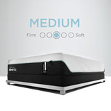 Queen TEMPUR-PEDIC® ProAdapt Medium - Floor Model Closeout- Local Delivery or Pickup Only